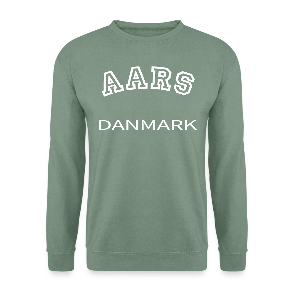 CityShirt - Sweatshirt - Aars - grågrøn