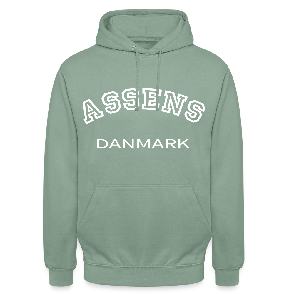 CityShirt - Hoodie - Assens - grågrøn