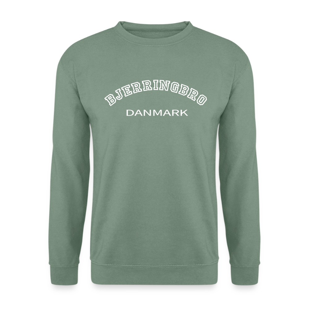 CityShirt - Sweatshirt - Bjerringbro - grågrøn