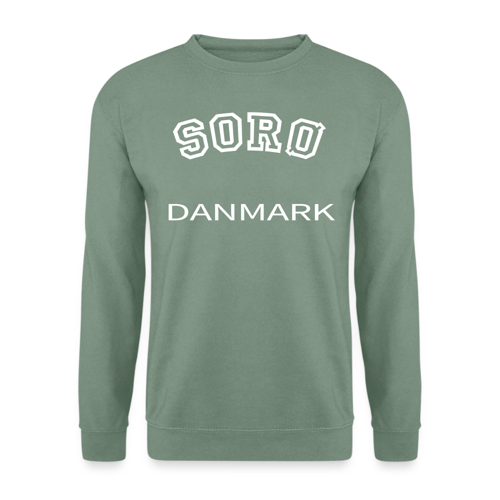 CityShirt - Sweatshirt - Sorø - grågrøn