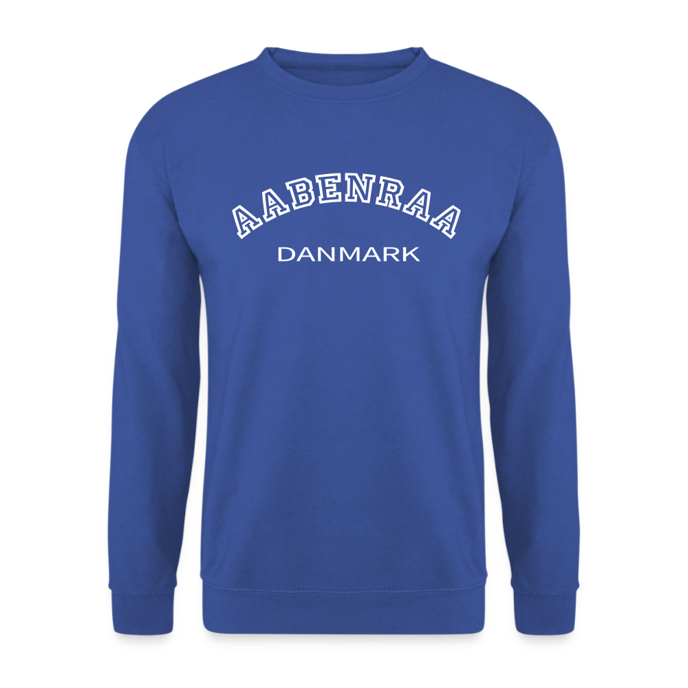 CityShirt - Sweatshirt - Aabenraa - kongeblå