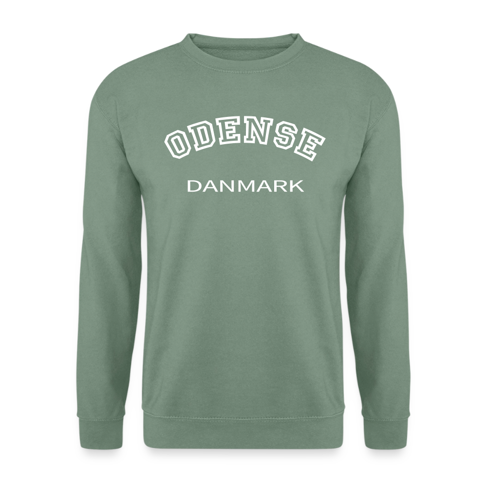 CityShirt - Sweatshirt - Odense - grågrøn