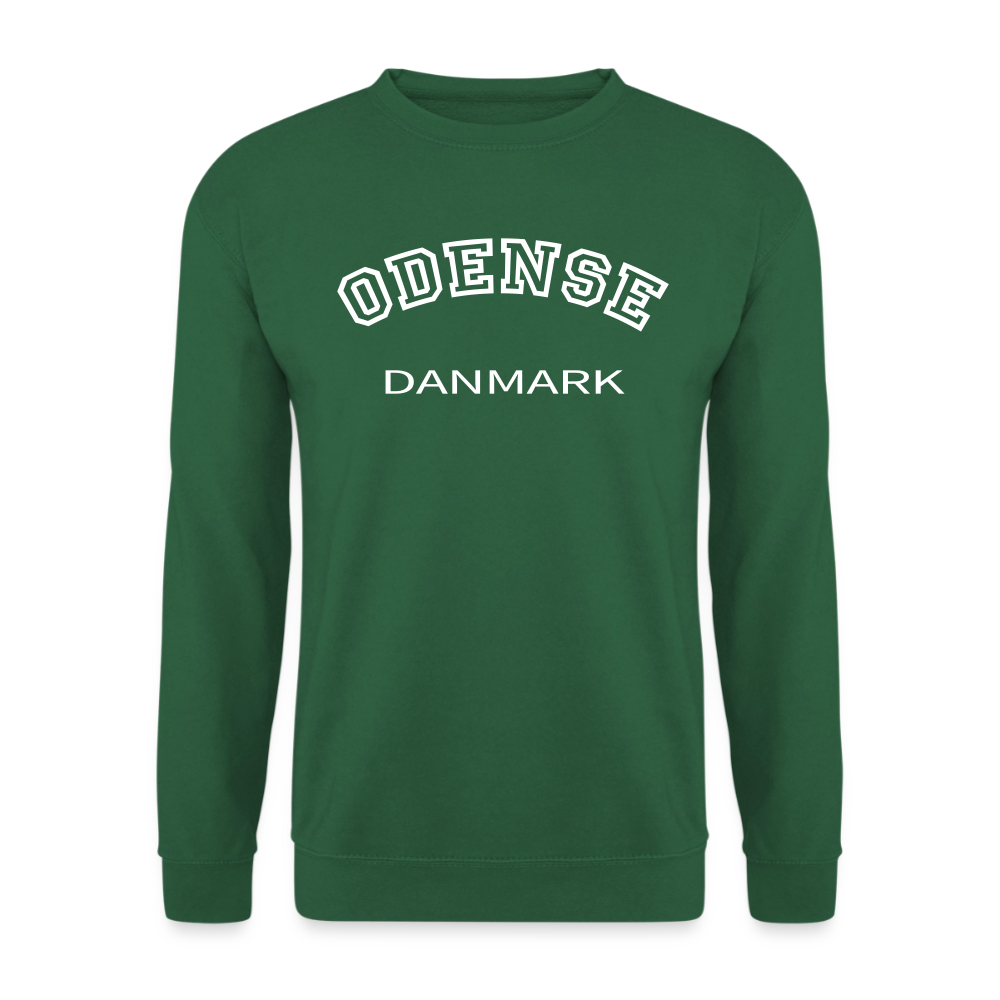 CityShirt - Sweatshirt - Odense - grøn