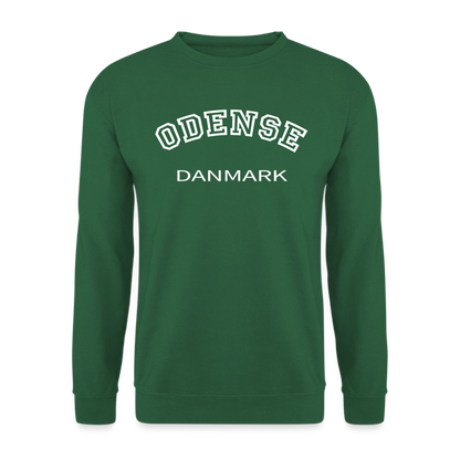 CityShirt - Sweatshirt - Odense - grøn