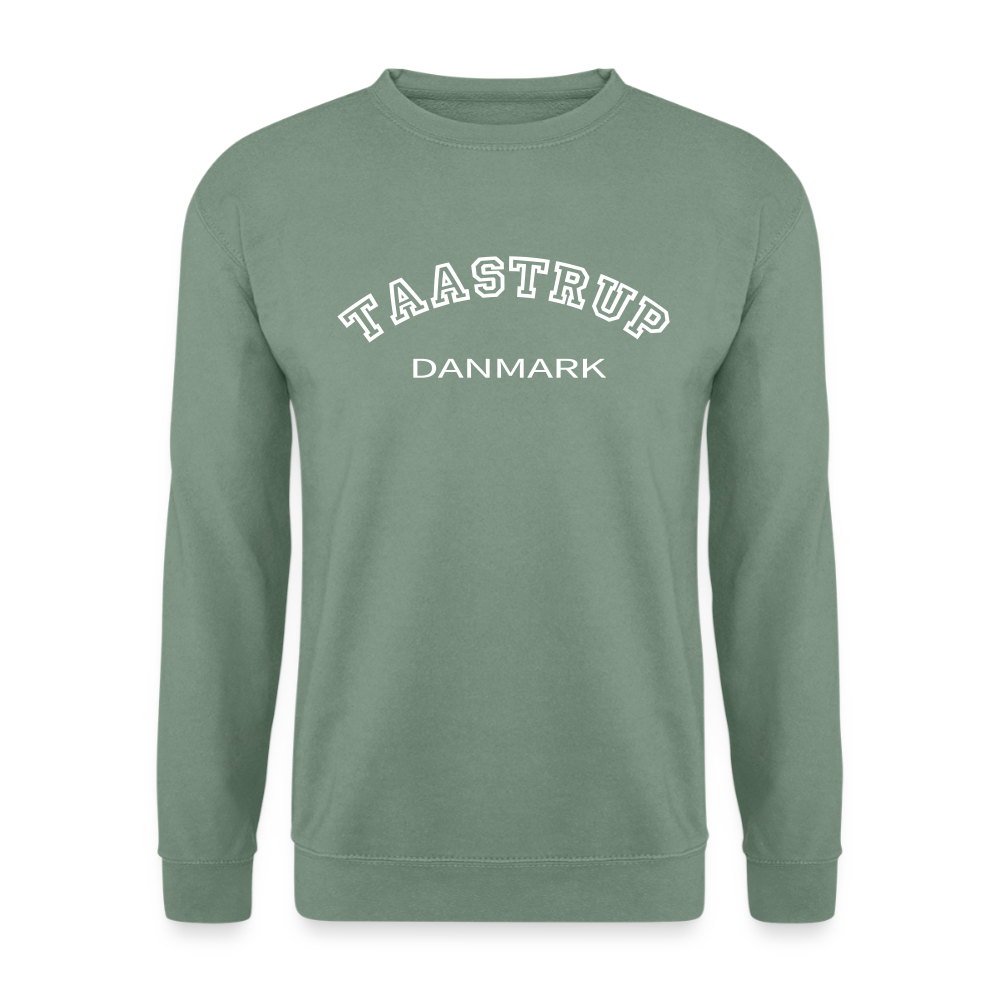 CityShirt - Sweatshirt - Taastrup - grågrøn
