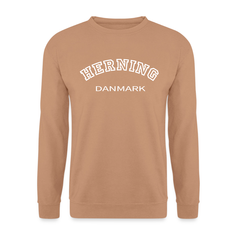 CityShirt - Sweatshirt - Herning - mokka