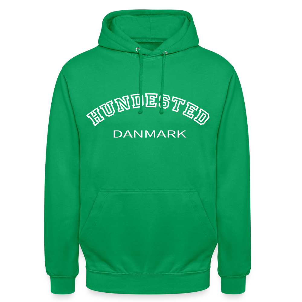 CityShirt - Hoodie - Hundested - kelly grøn