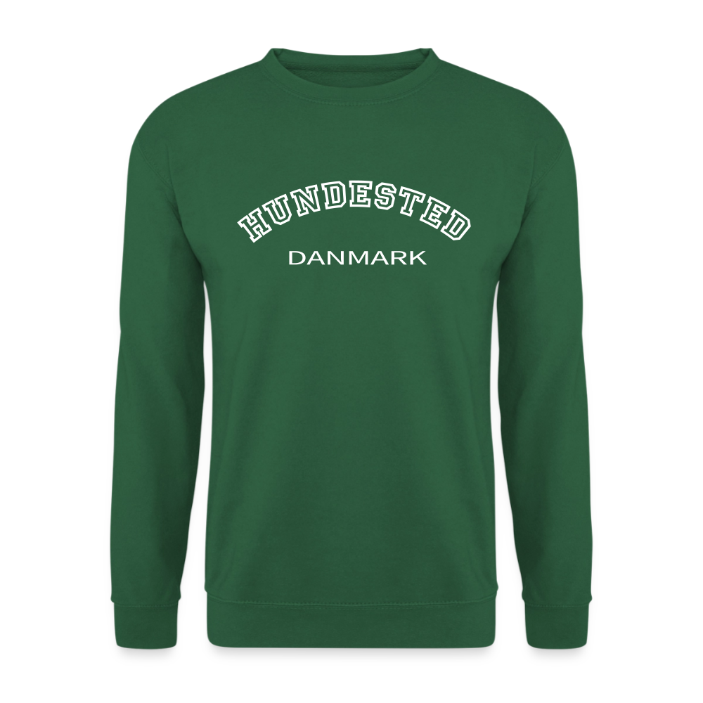 CityShirt - Sweatshirt - Hundested - grøn