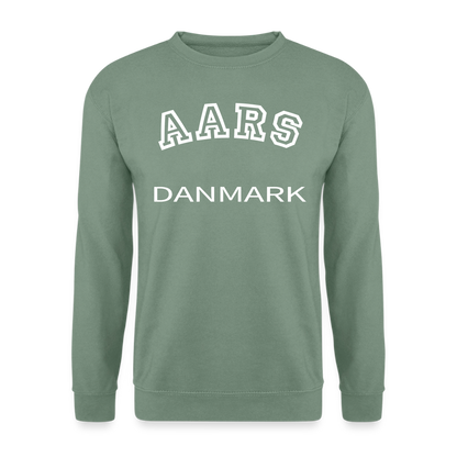 CityShirt - Sweatshirt - Aars - grågrøn