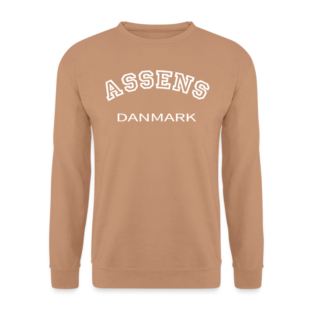 CityShirt - Sweatshirt - Assens - mokka