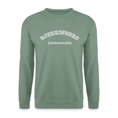 CityShirt - Sweatshirt - Bjerringbro - grågrøn