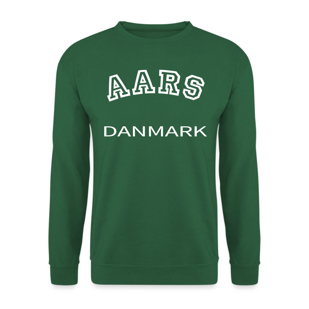 CityShirt - Sweatshirt - Aars - grøn