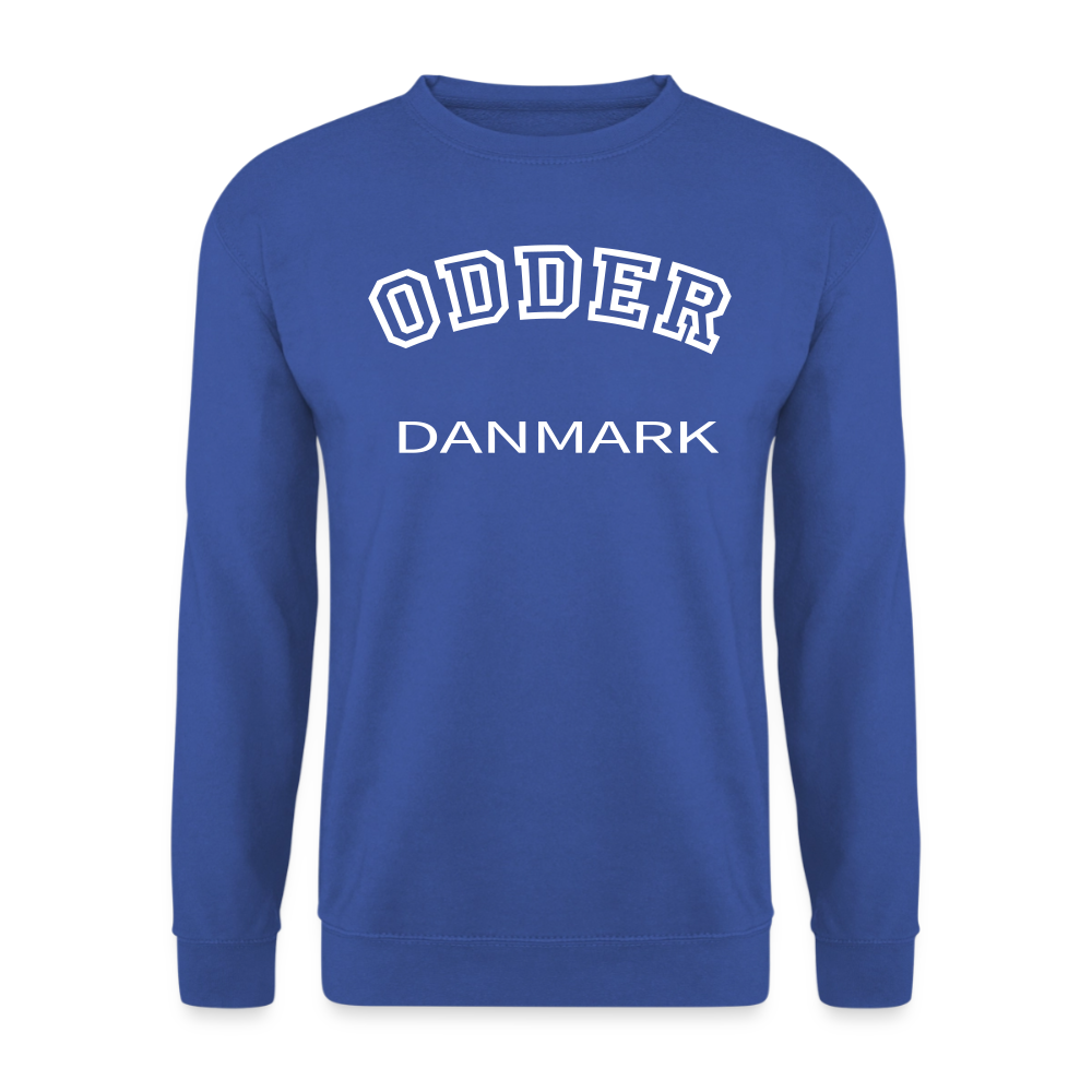 CityShirt - Sweatshirt - Odder - kongeblå