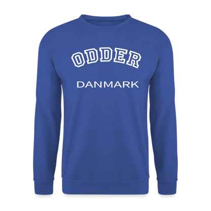 CityShirt - Sweatshirt - Odder - kongeblå