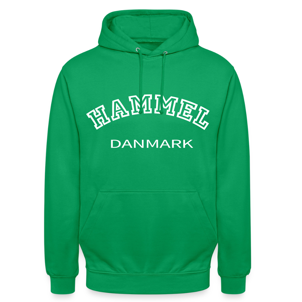 CityShirt - Hoodie - Hammel - kelly grøn