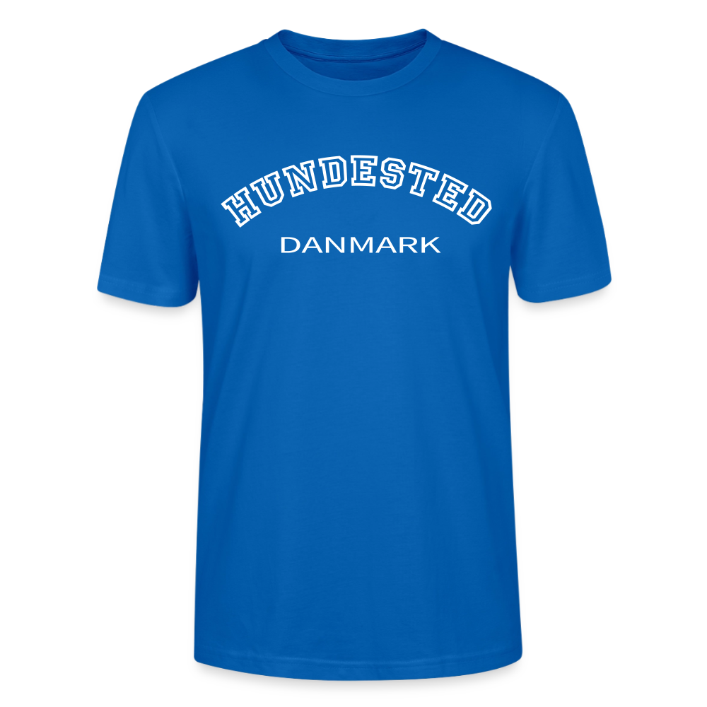 CityShirt - T-shirt - Hundested - påfugleblå
