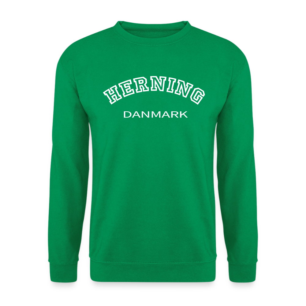 CityShirt - Sweatshirt - Herning - kelly grøn