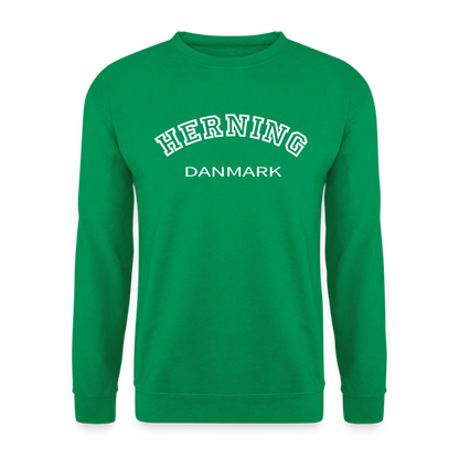 CityShirt - Sweatshirt - Herning - kelly grøn