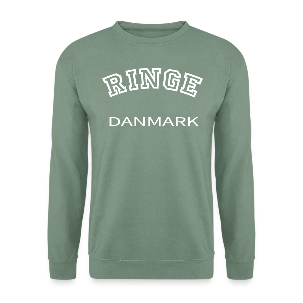 CityShirt - Sweatshirt - Ringe - grågrøn
