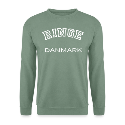 CityShirt - Sweatshirt - Ringe - grågrøn