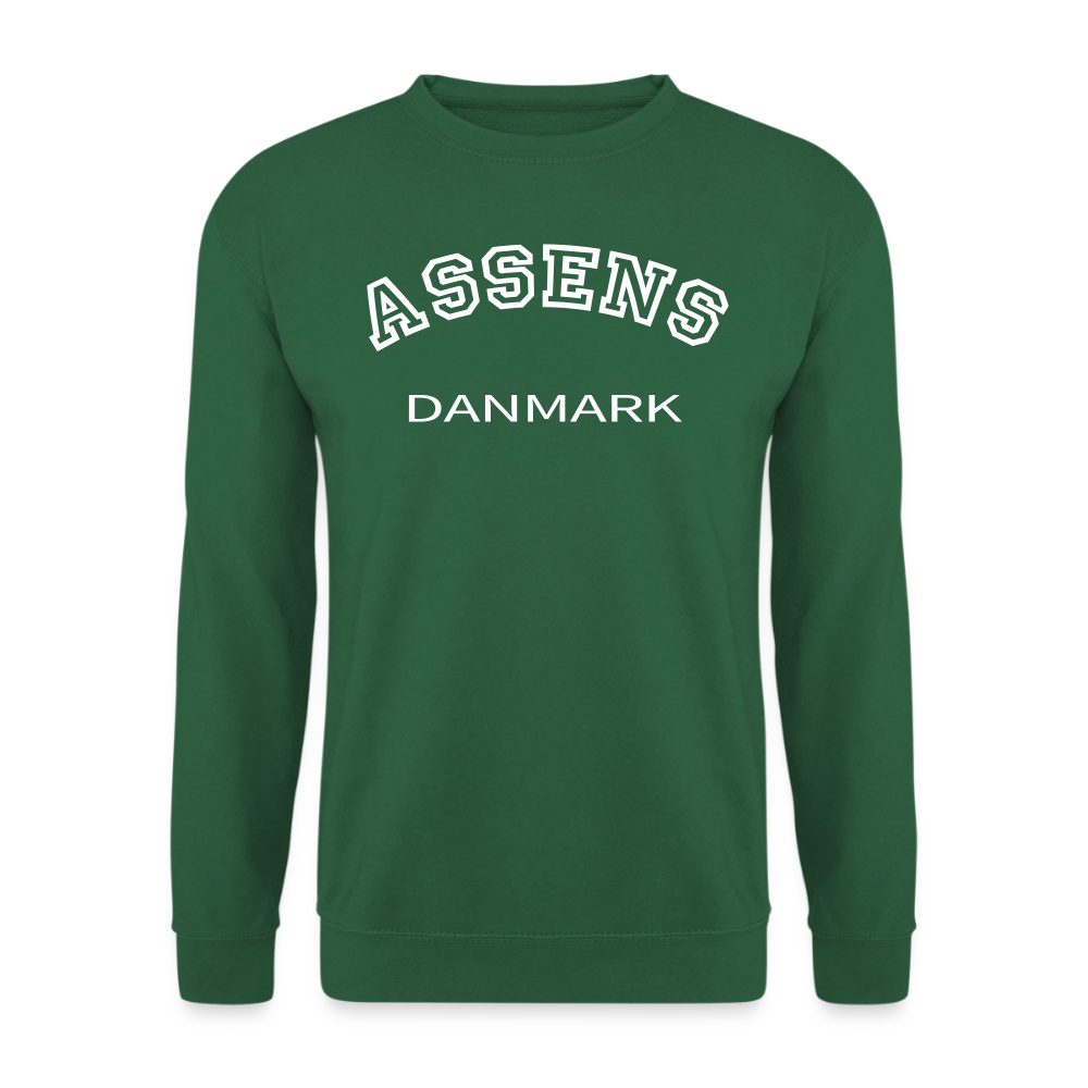 CityShirt - Sweatshirt - Assens - grøn
