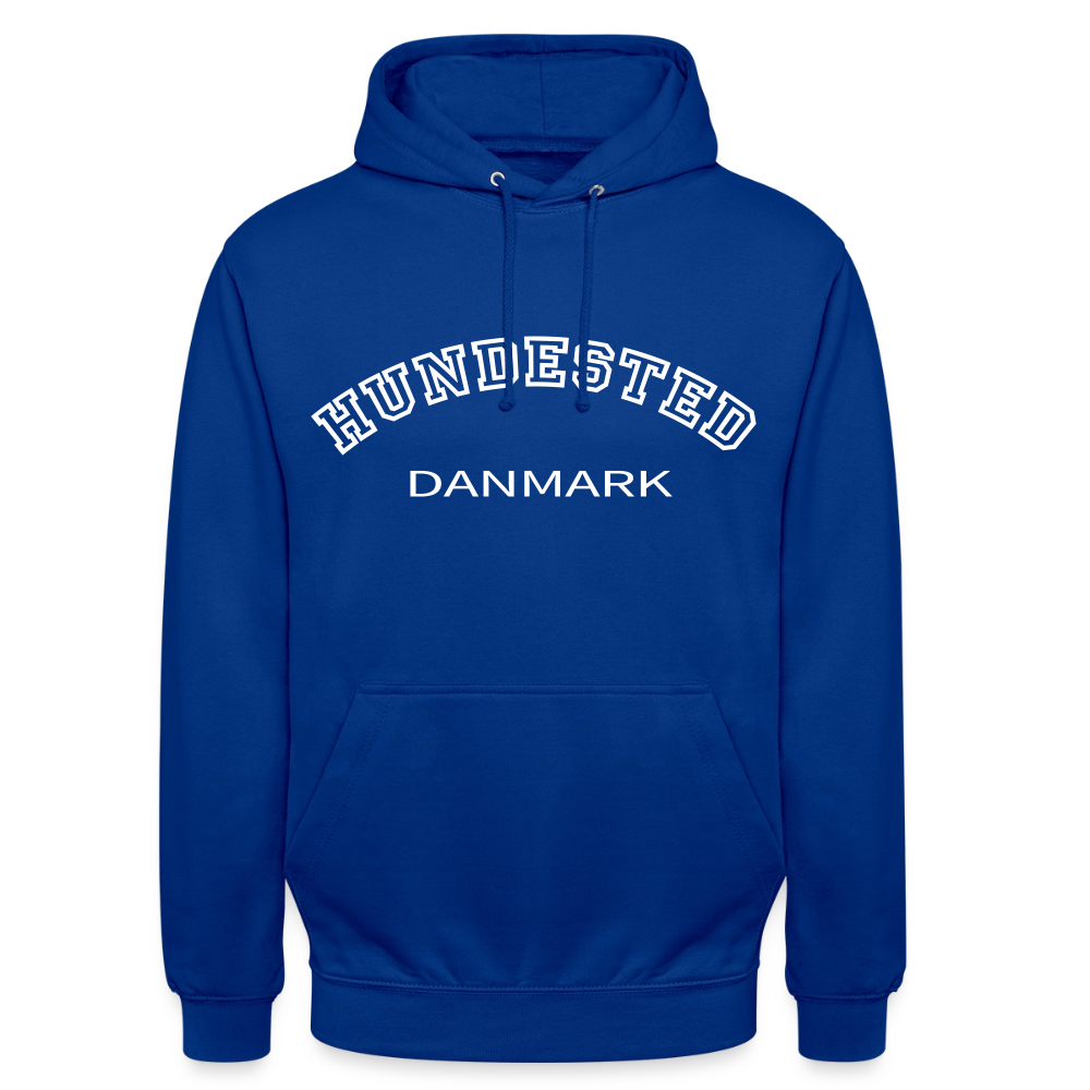 CityShirt - Hoodie - Hundested - kongeblå