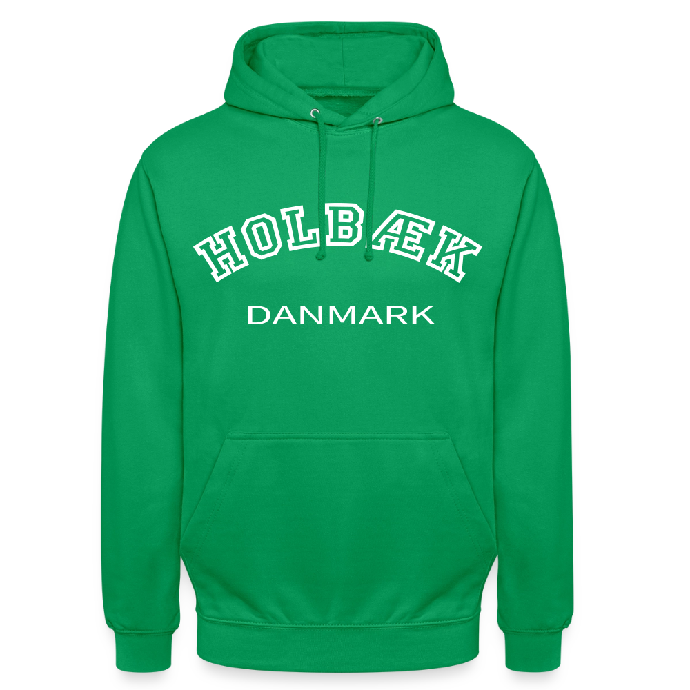 CityShirt - Hoodie - Holbæk - kelly grøn