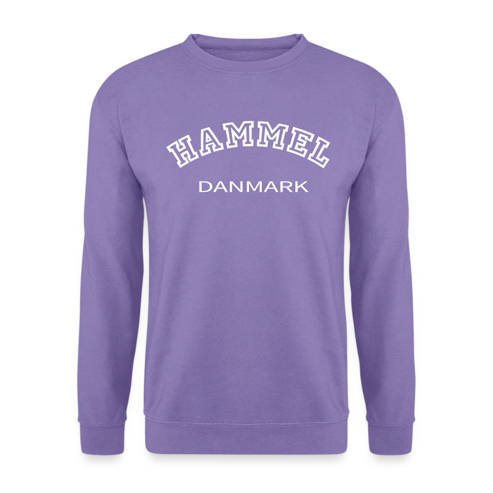 CityShirt - Sweatshirt - Hammel - lavendel
