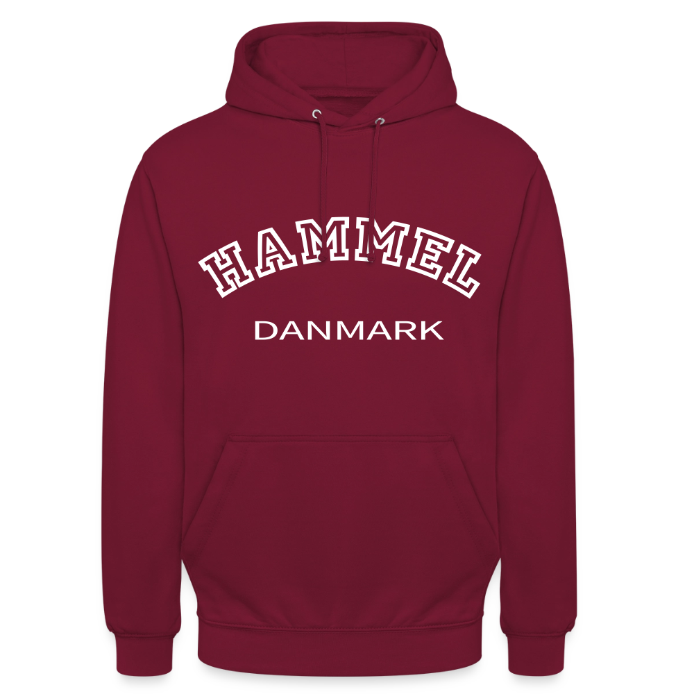 CityShirt - Hoodie - Hammel - bordeaux