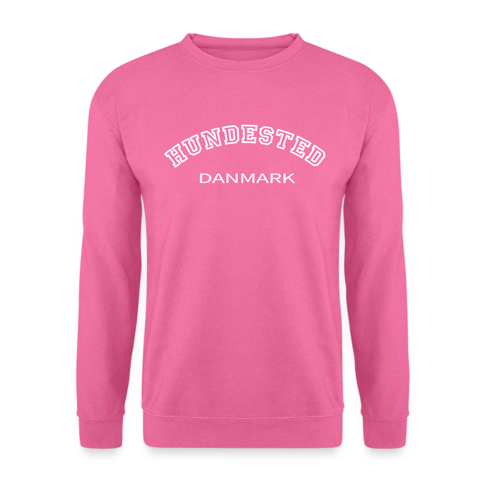 CityShirt - Sweatshirt - Hundested - pink