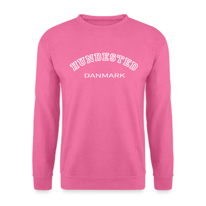 CityShirt - Sweatshirt - Hundested - pink