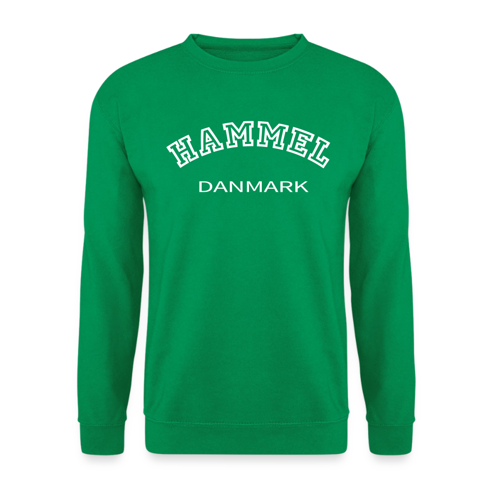 CityShirt - Sweatshirt - Hammel - kelly grøn