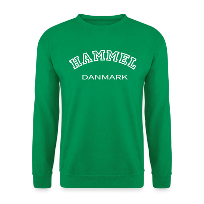 CityShirt - Sweatshirt - Hammel - kelly grøn