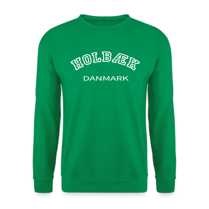 CityShirt - Sweatshirt - Holbæk - kelly grøn
