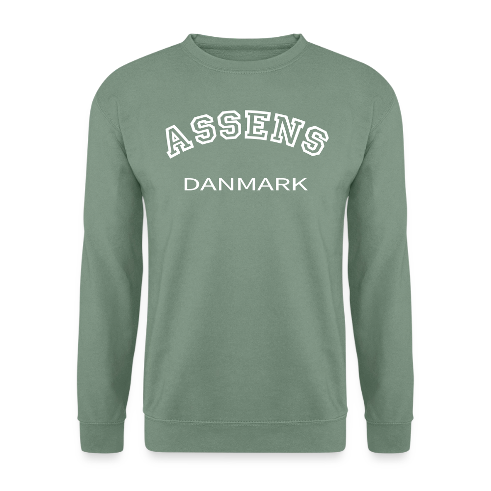 CityShirt - Sweatshirt - Assens - grågrøn