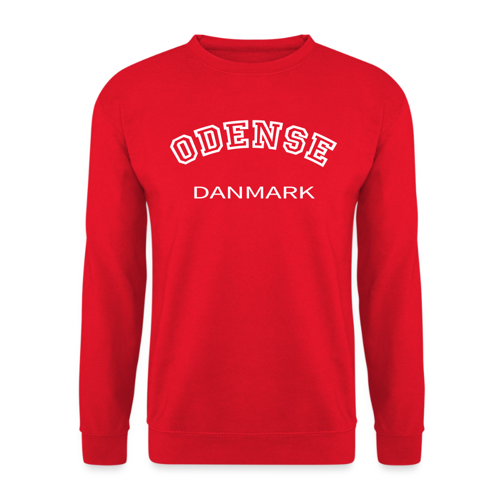 CityShirt - Sweatshirt - Odense - rød