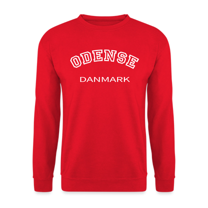 CityShirt - Sweatshirt - Odense - rød