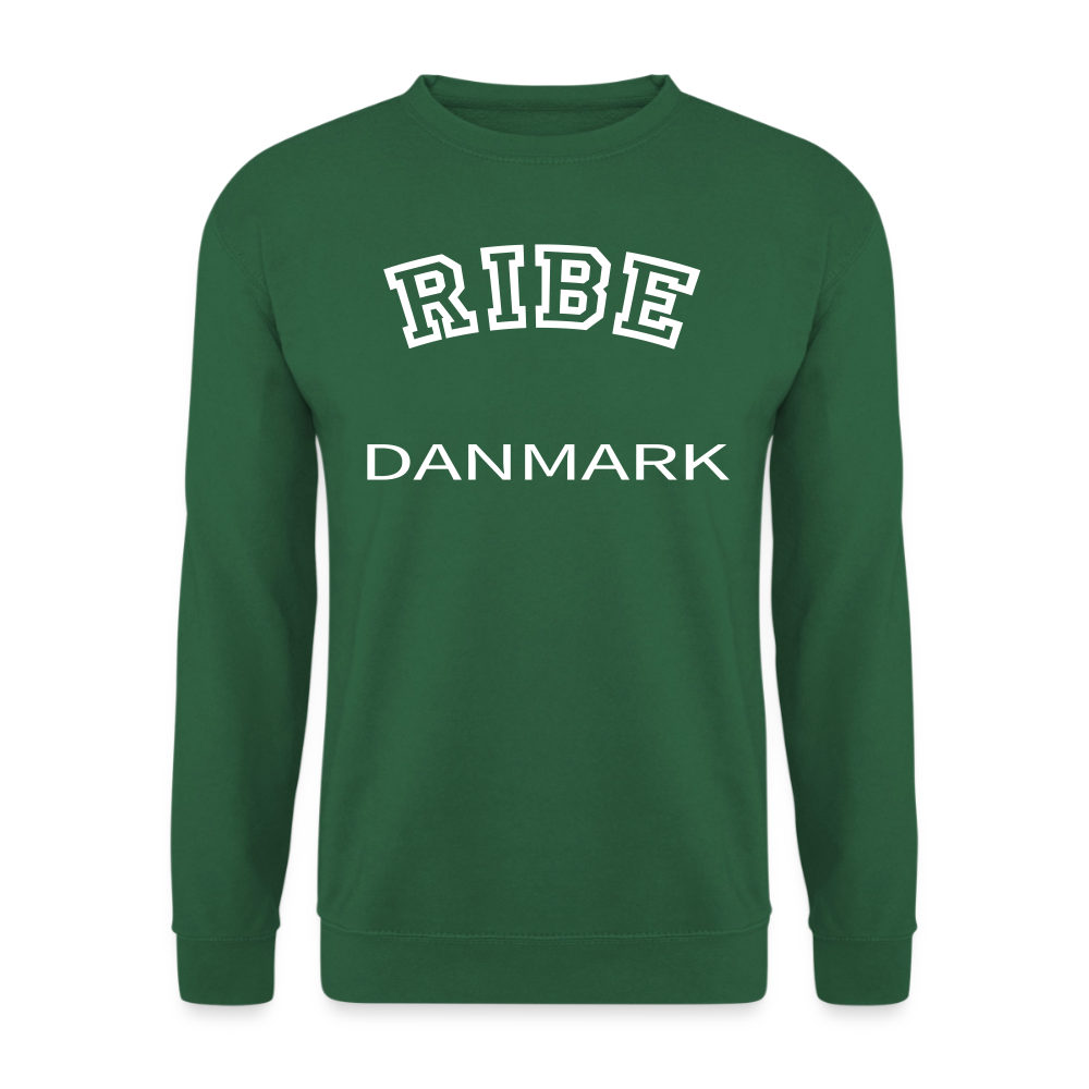 CityShirt - Sweatshirt - Ribe - grøn