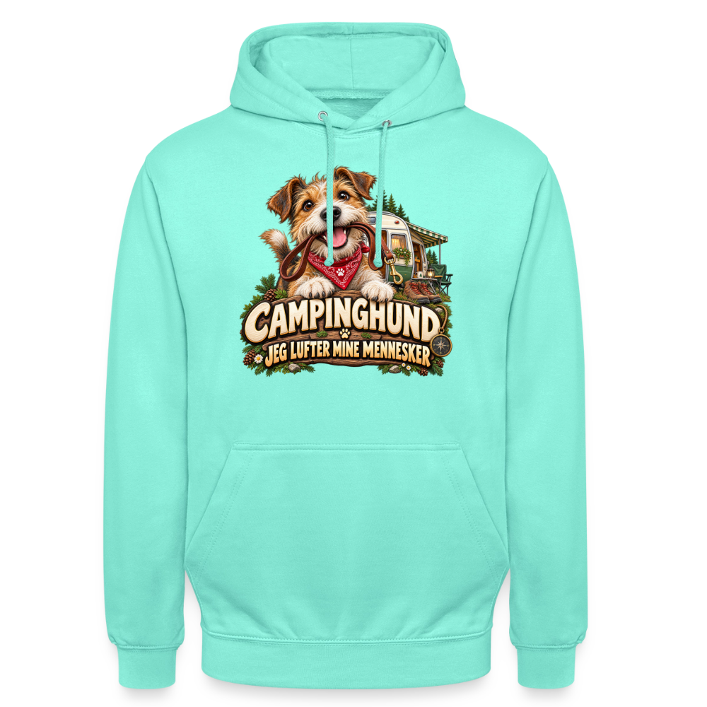 CityShirts - Hoodie - Campinghund – Jeg lufter mine mennesker - CS041 - mint