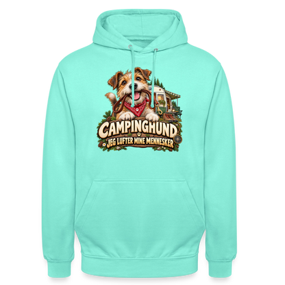 CityShirts - Hoodie - Campinghund – Jeg lufter mine mennesker - CS041 - mint