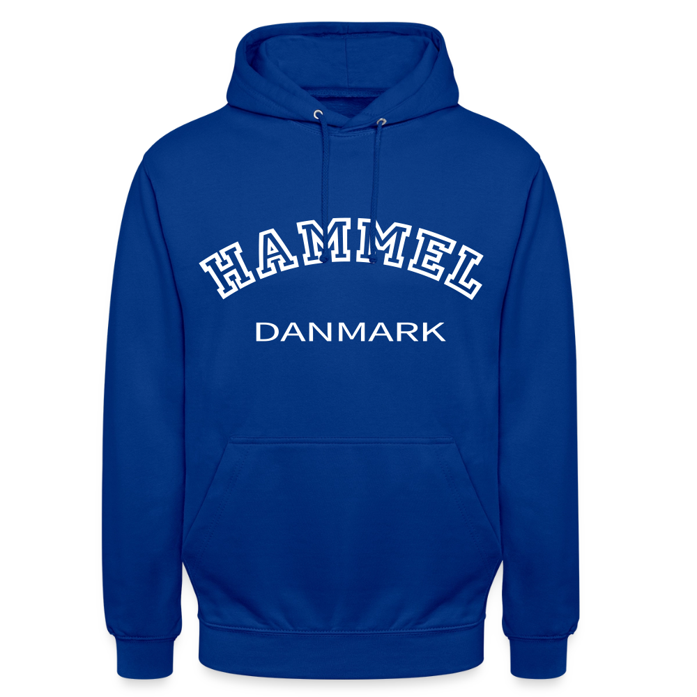 CityShirt - Hoodie - Hammel - kongeblå