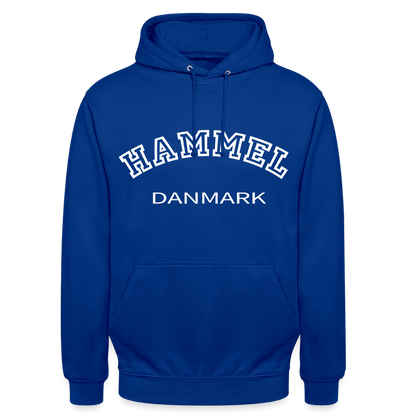 CityShirt - Hoodie - Hammel - kongeblå
