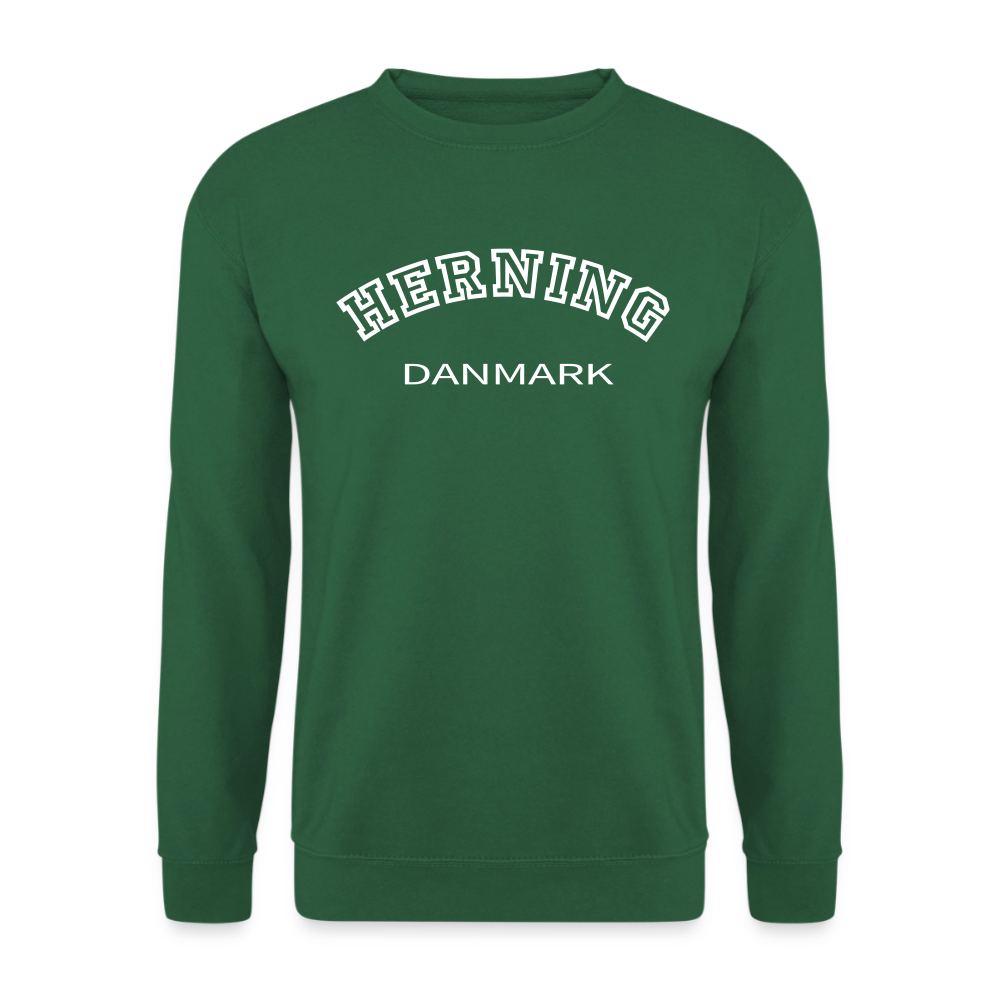 CityShirt - Sweatshirt - Herning - grøn