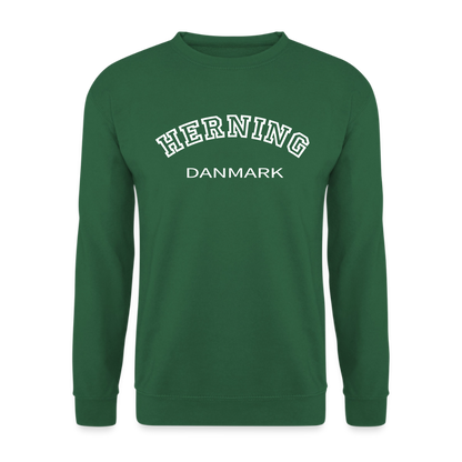 CityShirt - Sweatshirt - Herning - grøn