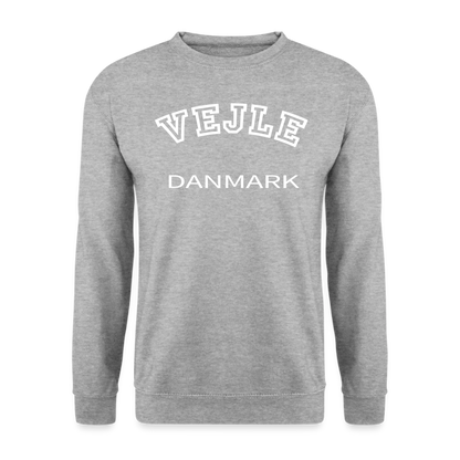 CityShirt - Sweatshirt - Vejle - hvidgrå meleret