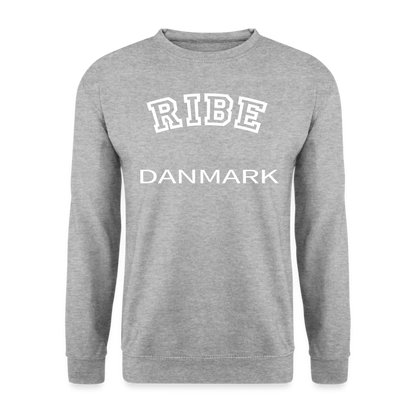 CityShirt - Sweatshirt - Ribe - hvidgrå meleret
