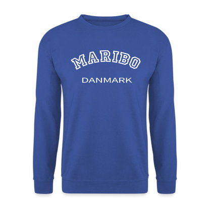CityShirt - Sweatshirt - Maribo - kongeblå