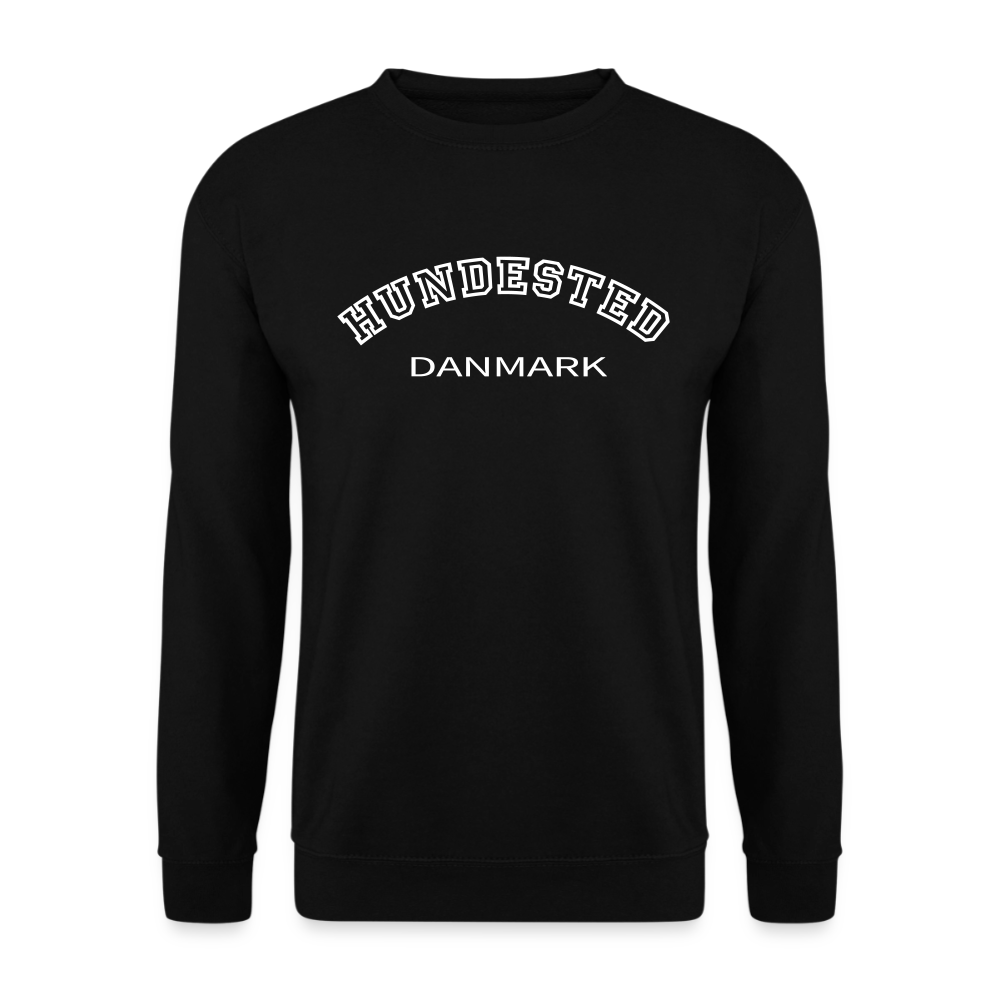 CityShirt - Sweatshirt - Hundested - sort