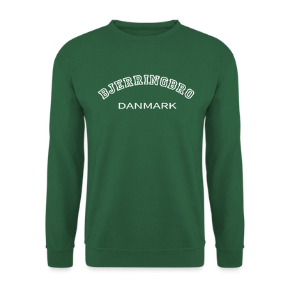 CityShirt - Sweatshirt - Bjerringbro - grøn