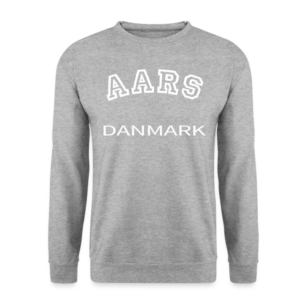 CityShirt - Sweatshirt - Aars - hvidgrå meleret
